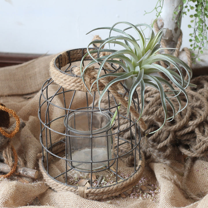 Decorative Lantern Kalsten