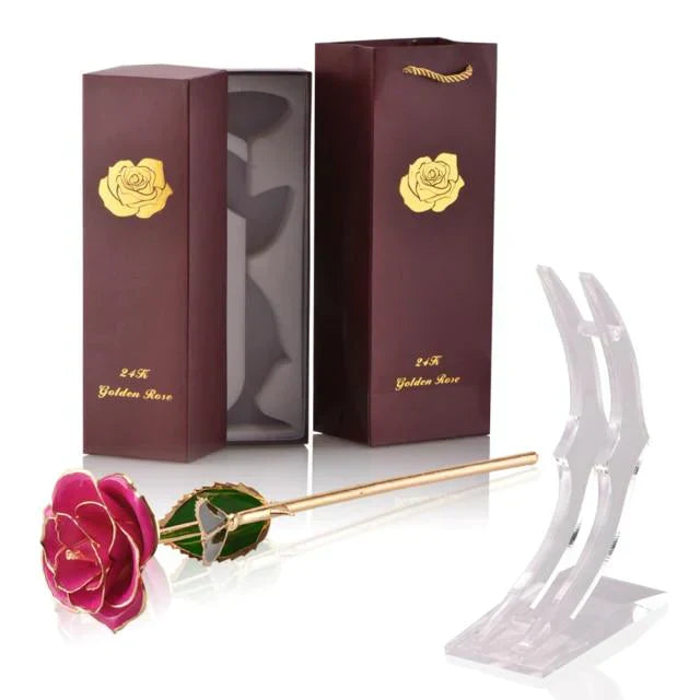 Kalsten | 24k Gold Dipped Eternal Rose