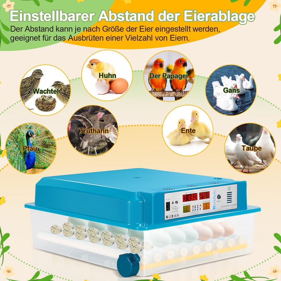 Brutautomat Fully Automatic Incubator for Chickens 64 Eggs | Kalsten