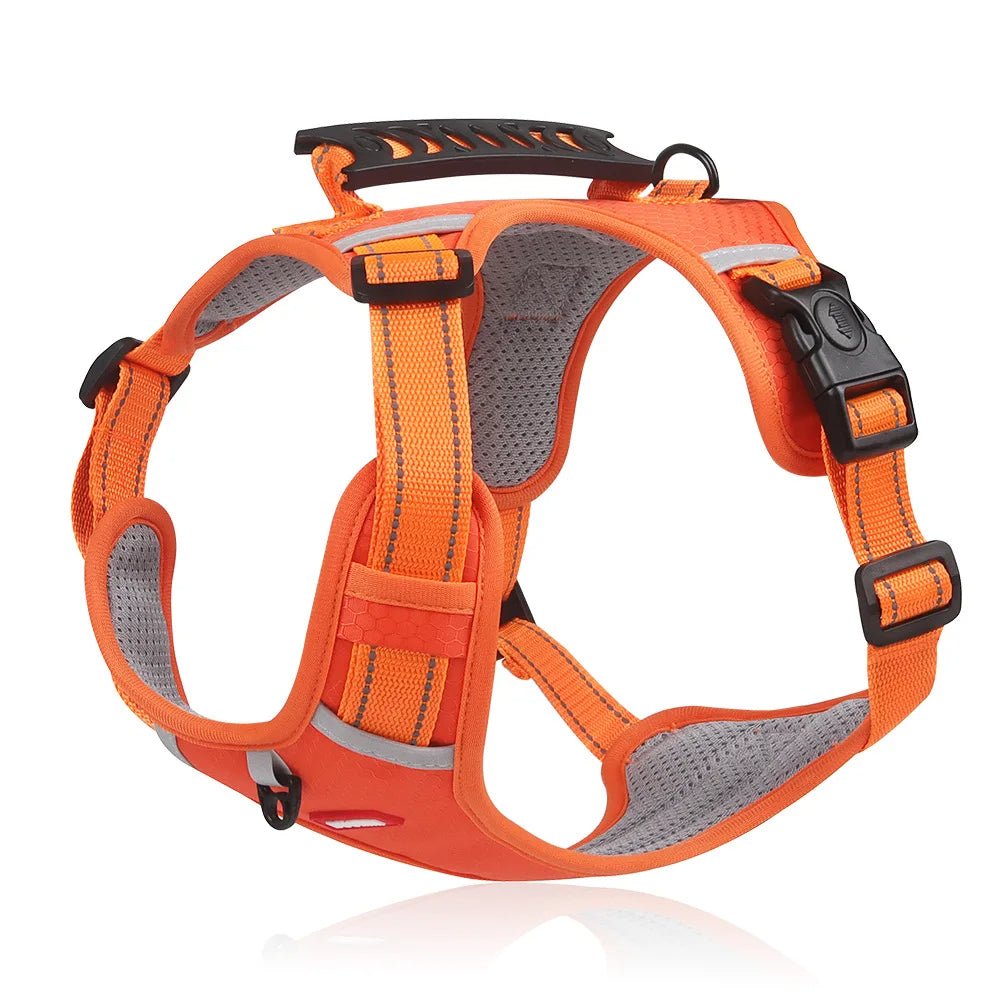 DogGrip Walk safely with your dog | Kalsten