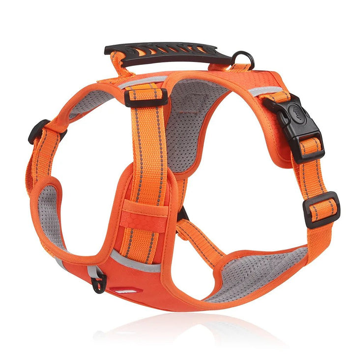 DogGrip Walk safely with your dog | Kalsten