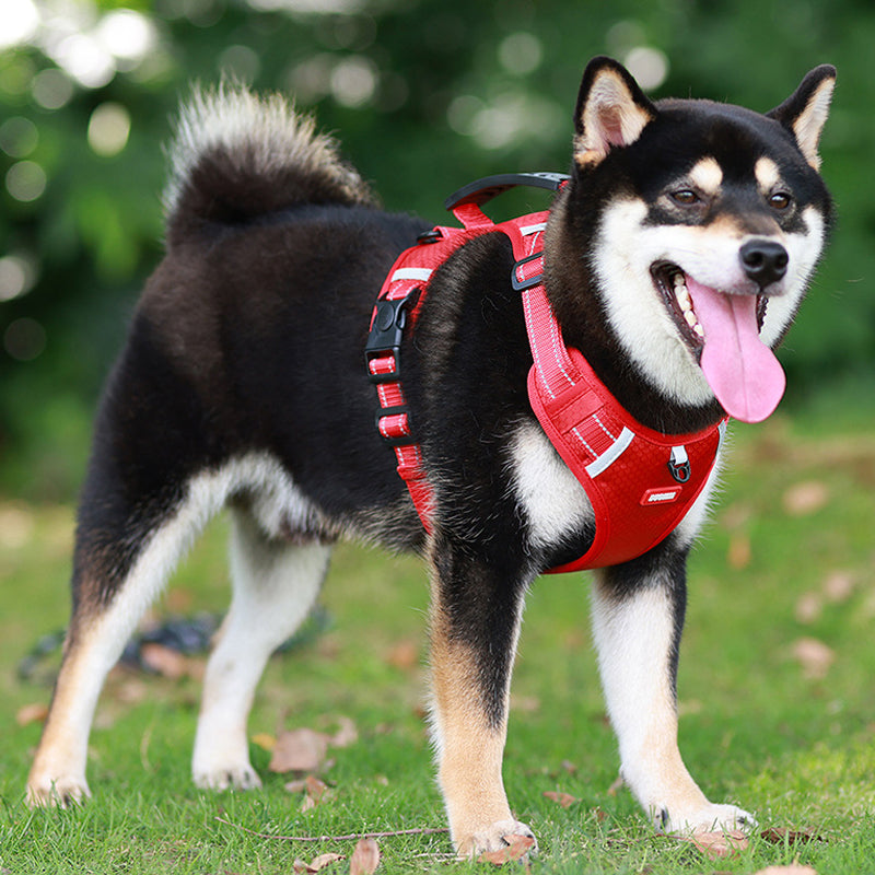 Kalsten | Reflective Dog Harness