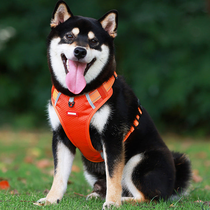 Kalsten | Reflective Dog Harness