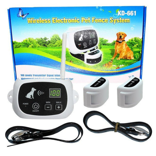 Kalsten | Wireless Dog Fence – Safety and Freedom in the Garden