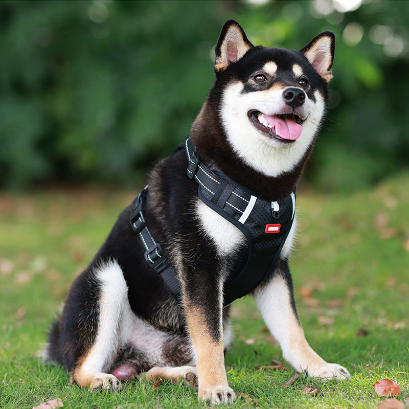 Reflective Dog Harness | Kalsten
