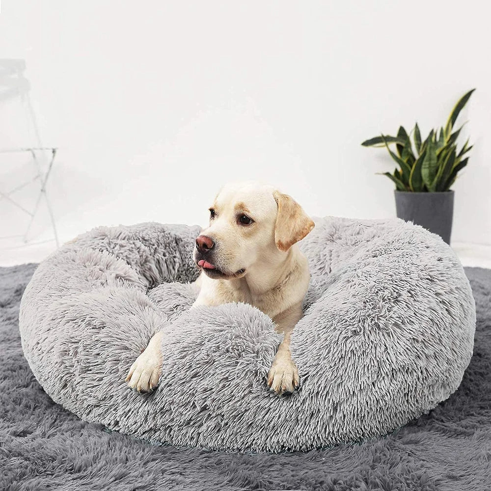 Premium Dog Bed Noxord