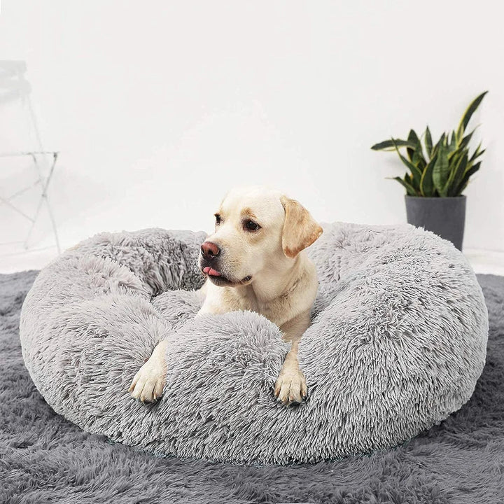 Premium Dog Bed Noxord