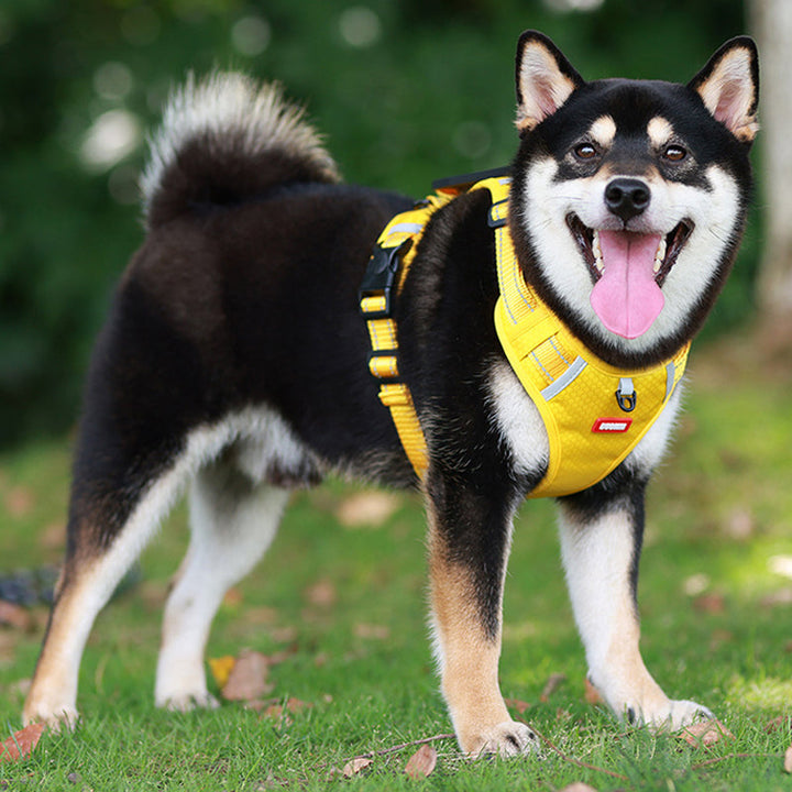 Kalsten | Reflective Dog Harness
