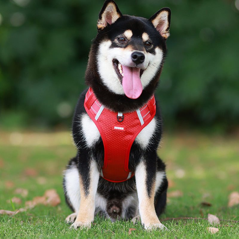 Reflective Dog Harness | Kalsten
