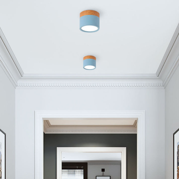 Modern Cylinder LED Flush Mount Ceiling Lamp Noxord