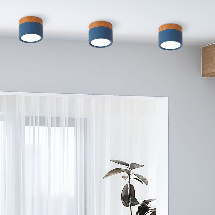 Modern Cylinder LED Flush Mount Ceiling Lamp Noxord