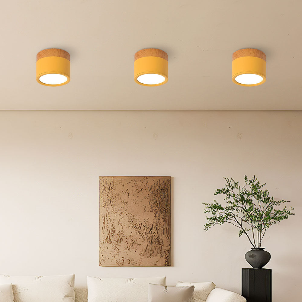 Modern Cylinder LED Flush Mount Ceiling Lamp Noxord