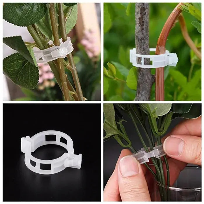 VitaGrip Clips — Strong hold for majestic plants that grow and thrive proudly | Kalsten