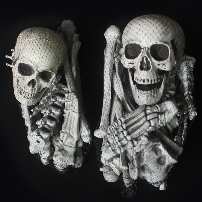 Anatomical Skeleton Model
