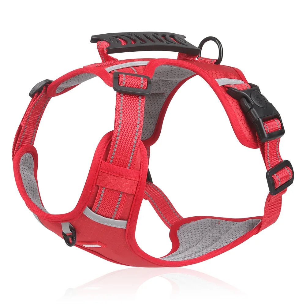 DogGrip Walk safely with your dog | Kalsten