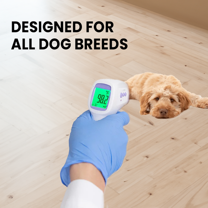 Kalsten | No-Contact Dog Thermometer with One Click Reading