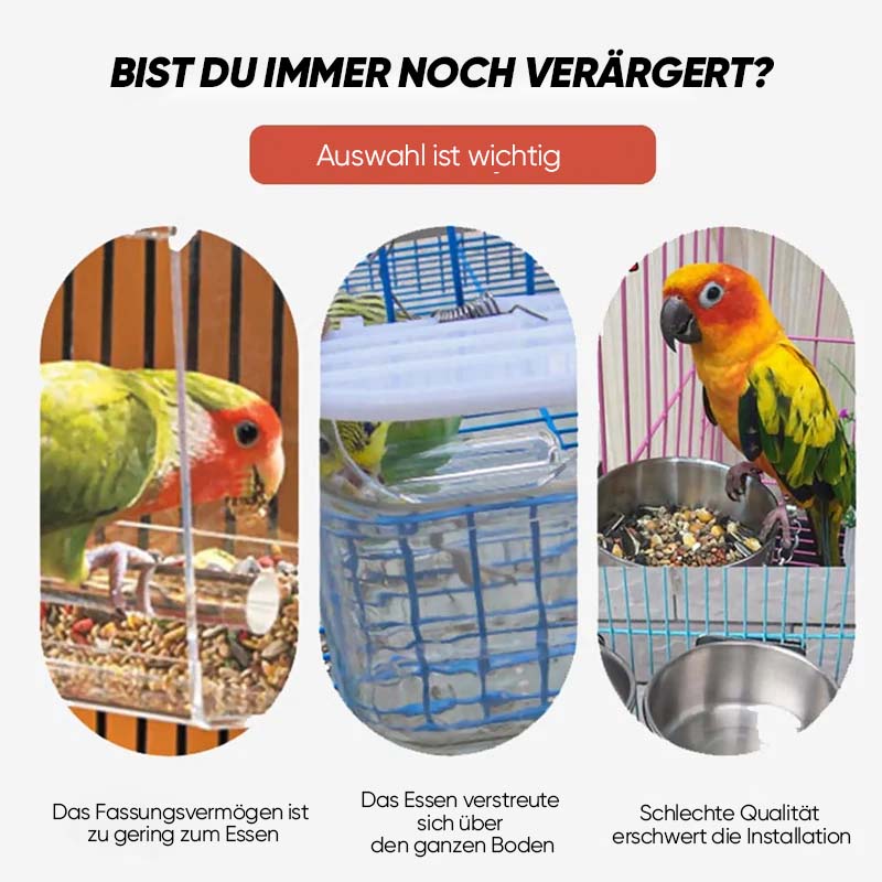 Automatic, leak-proof bird feeder | Kalsten