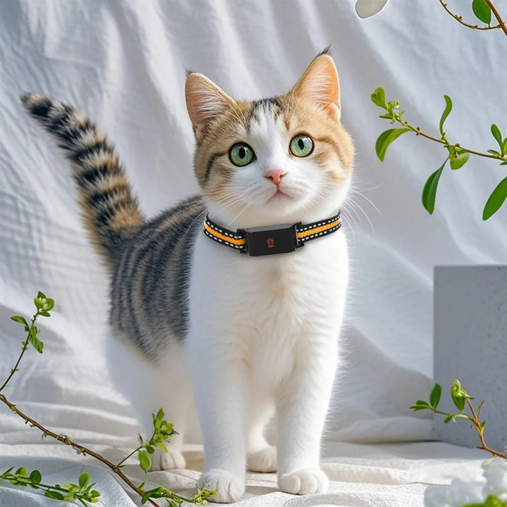 Kalsten | GPS Dog and Cat Collar – Unlimited Range Real-Time Tracker