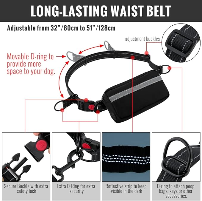 FlowLeash — Experience gentle control and relaxed walks without jerks! | Kalsten
