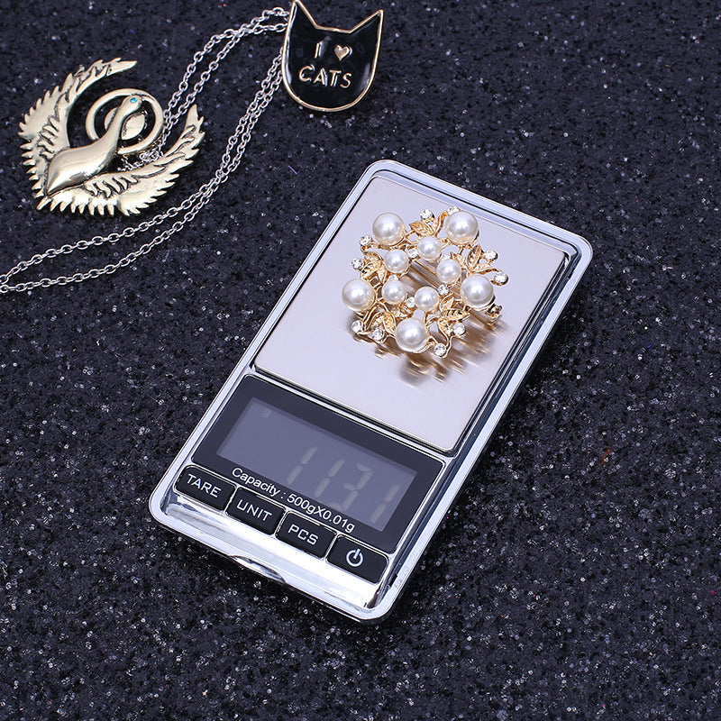 Precision Digital Scale