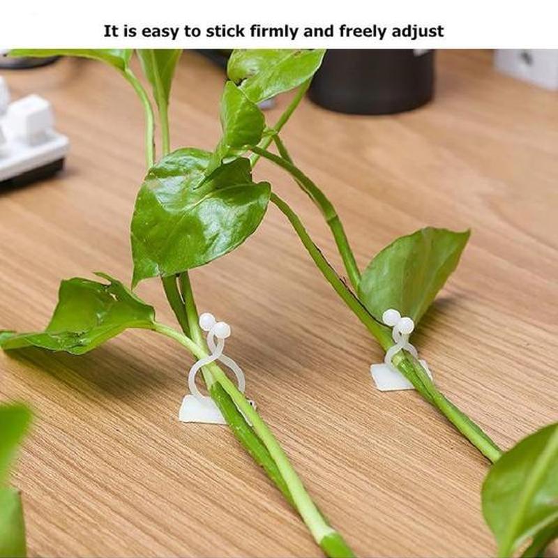 Wall Clips for Climbing Plants (30 pieces) | Kalsten