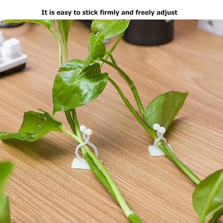 Wall Clips for Climbing Plants (30 pieces) | Kalsten