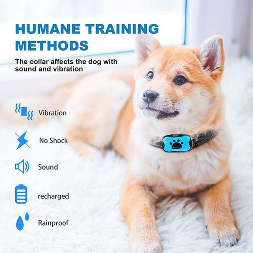 Anti-Bark Training Collar with Vibration