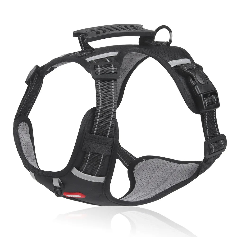DogGrip Walk safely with your dog | Kalsten