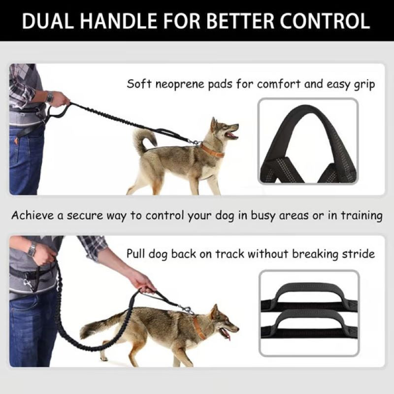 Kalsten | Hands Free Dog Leash with Zipper Bag