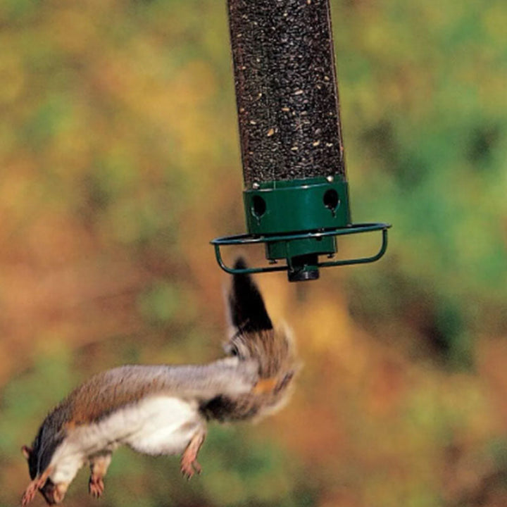 Squirrel-proof birdhouse | Kalsten