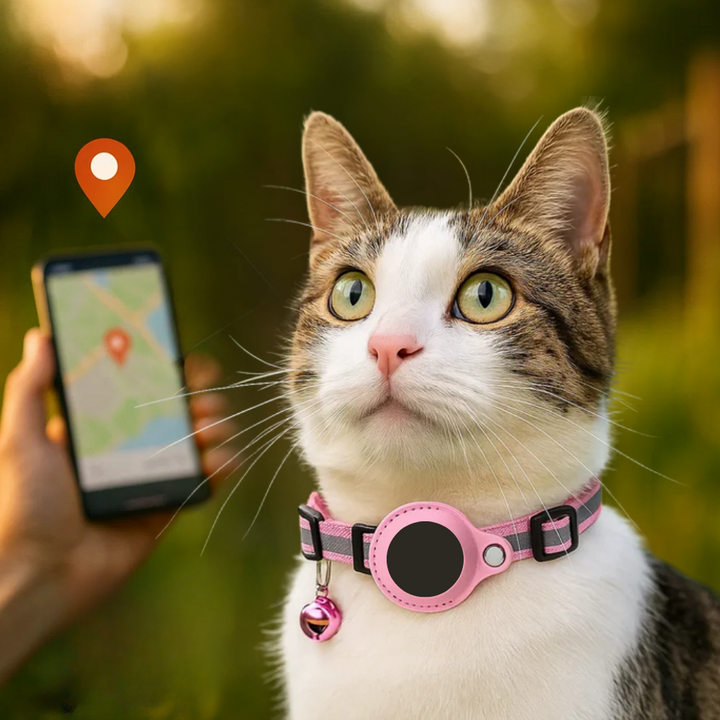 GPS Tracking Collar for Cats