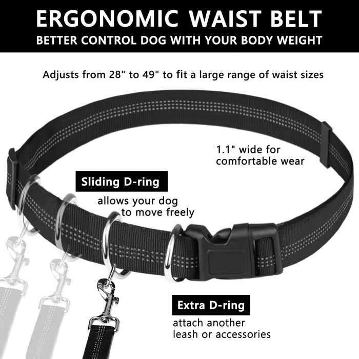 FlowLeash — Experience gentle control and relaxed walks without jerks! | Kalsten