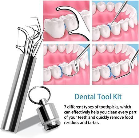 Clean Pick - 7 Piece Stainless Steel Toothpick Set | Kalsten