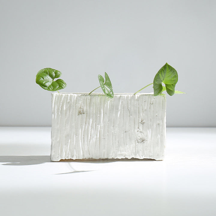Textured Modern Ceramic Plant Pot