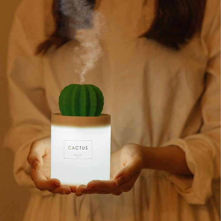 280ML Air Humidifier Soft LED Light Cactus Ultrasonic Aroma Essential Oil Diffuser For Home Car USB Mini Air Purifier | Kalsten
