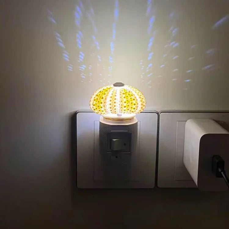 Kalsten | LumiCraft – Unique DIY table lamp with natural sea shell for a cozy décor