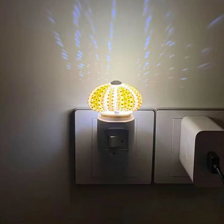 Kalsten | LumiCraft – Unique DIY table lamp with natural sea shell for a cozy décor