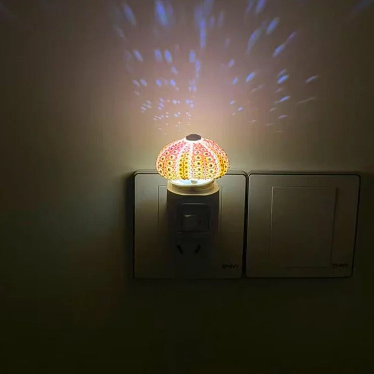 Kalsten | LumiCraft – Unique DIY table lamp with natural sea shell for a cozy décor