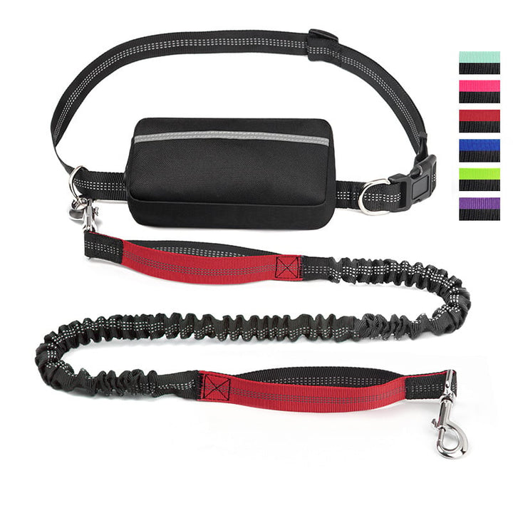 FlowLeash — Experience gentle control and relaxed walks without jerks! | Kalsten