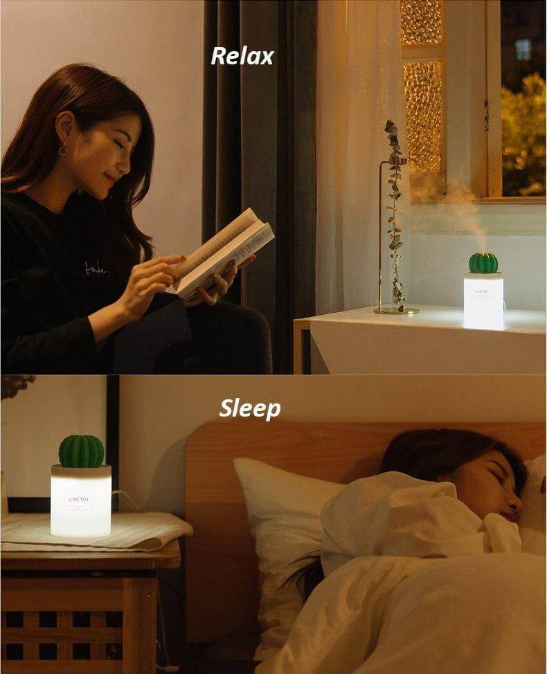 280ML Air Humidifier Soft LED Light Cactus Ultrasonic Aroma Essential Oil Diffuser For Home Car USB Mini Air Purifier | Kalsten