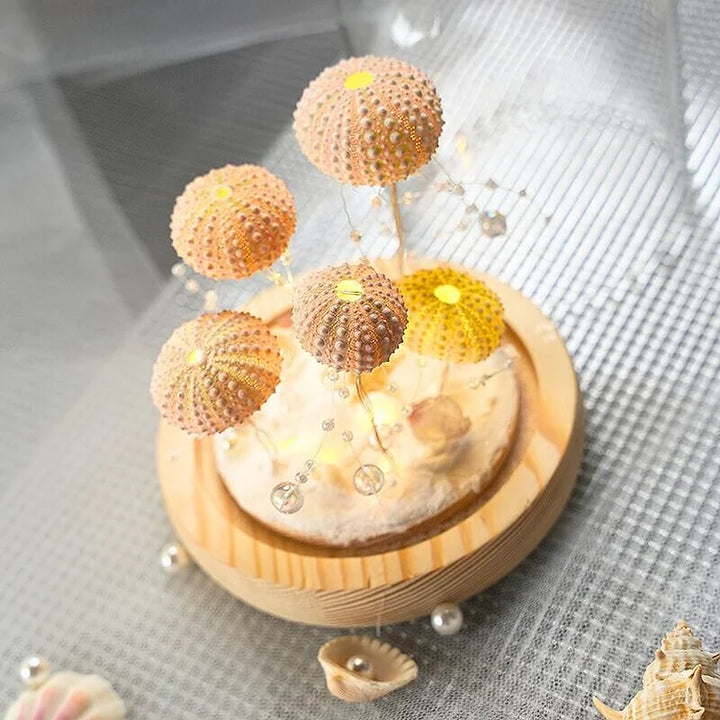 Kalsten | LumiCraft – Unique DIY table lamp with natural sea shell for a cozy décor