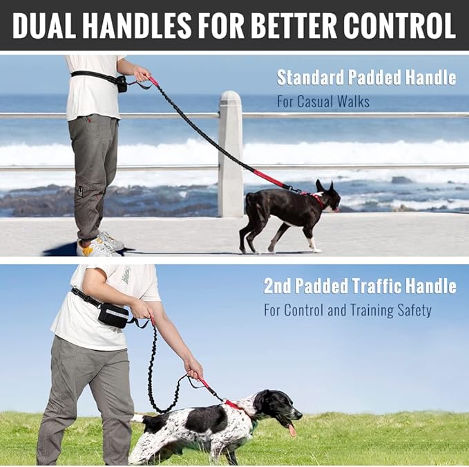 FlowLeash — Experience gentle control and relaxed walks without jerks! | Kalsten