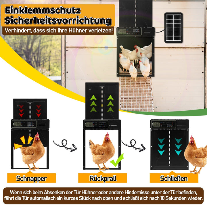 Electric Chicken Coop Door Solar with LED Display and Remote Control | Kalsten
