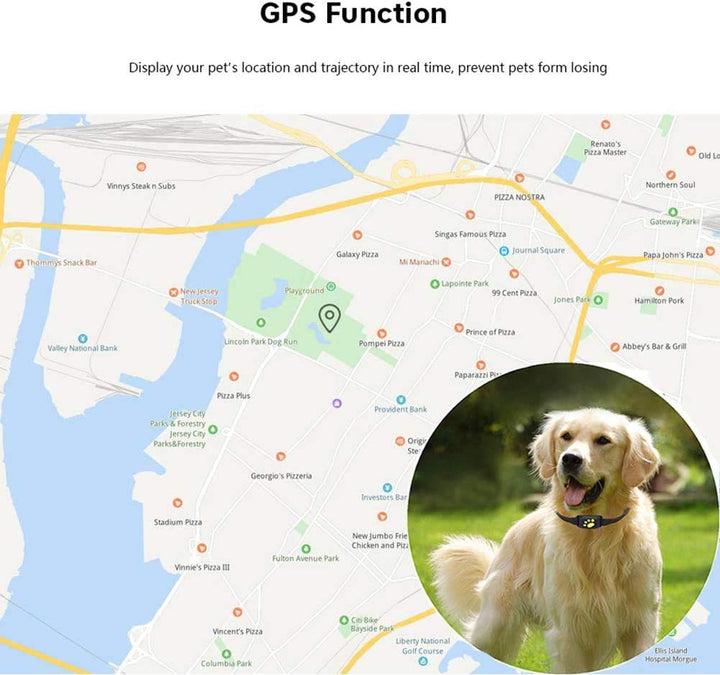 Kalsten | Smart GPS Pet Collar with Real-Time Tracking, Geo-Fence Alerts & Sleep Mode for Cats and Dogs