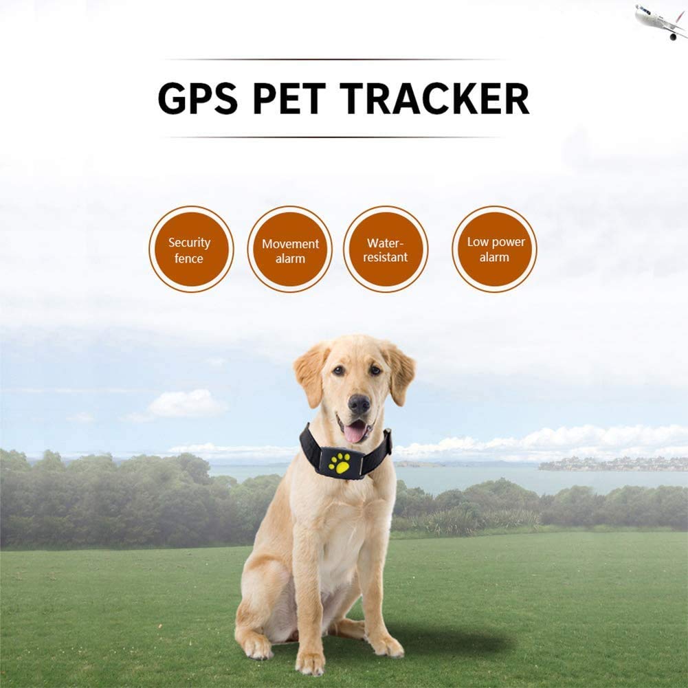 Kalsten | Smart GPS Pet Collar with Real-Time Tracking, Geo-Fence Alerts & Sleep Mode for Cats and Dogs
