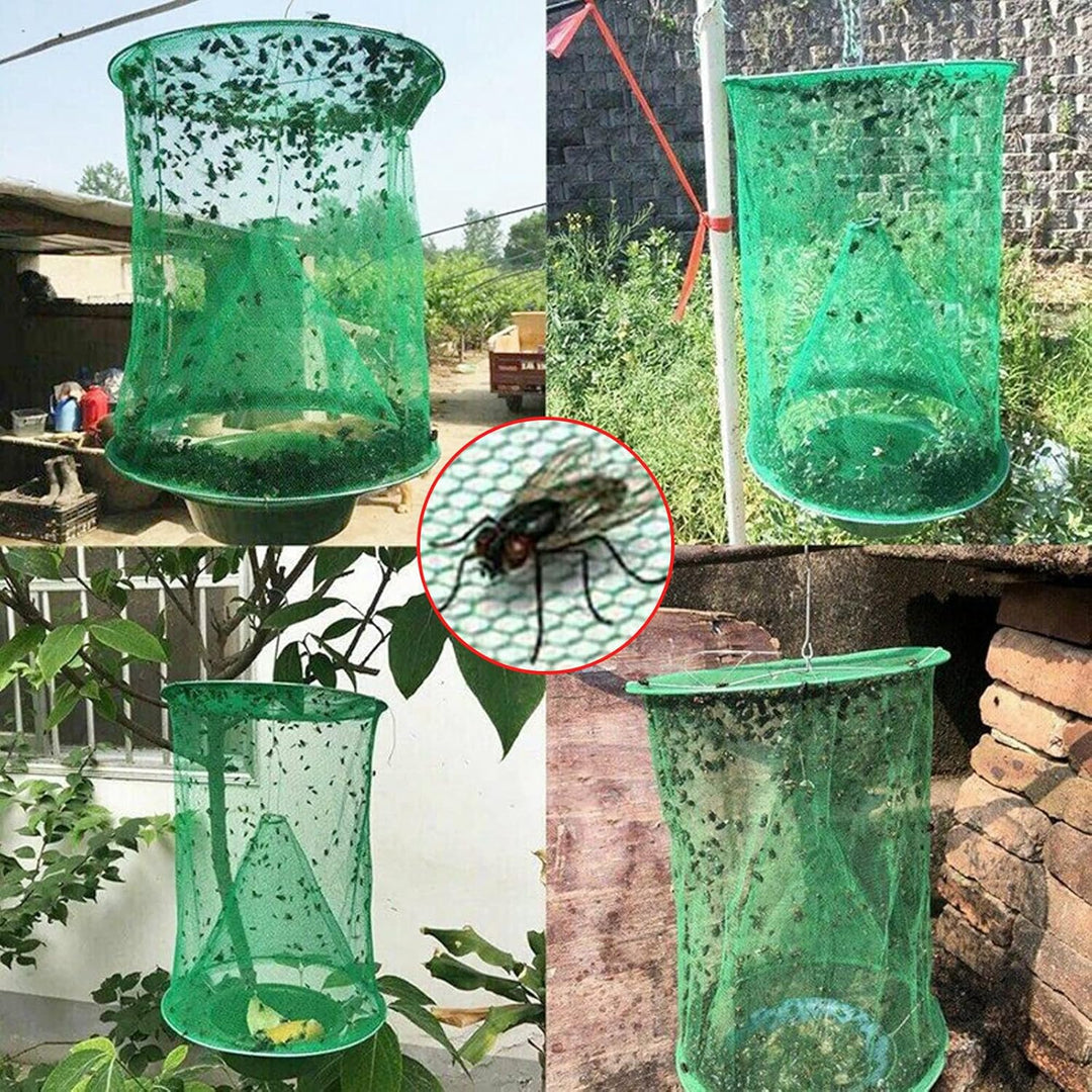 BuzzBlitz — Finally enjoy peace and get rid of flies forever! | Kalsten