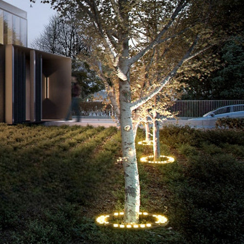 Outdoor LED Ring Accent Lighting Noxord