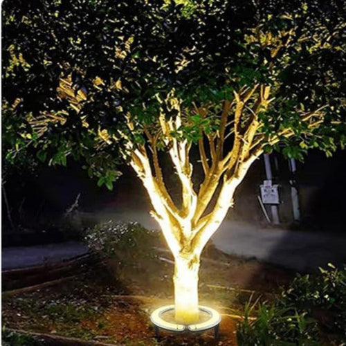 Outdoor LED Ring Accent Lighting Noxord