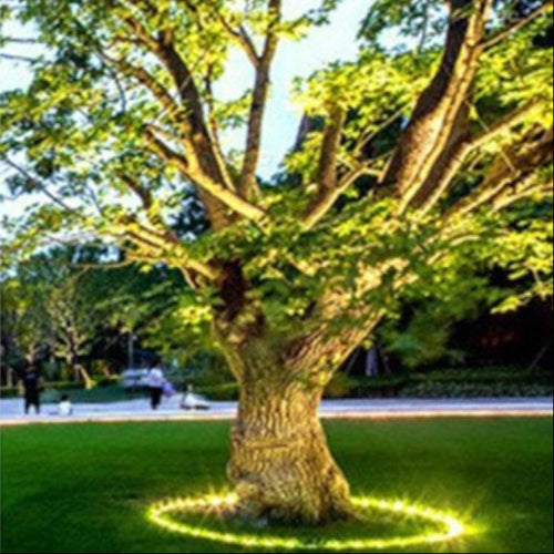 Outdoor LED Ring Accent Lighting Noxord