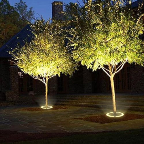 Outdoor LED Ring Accent Lighting Noxord
